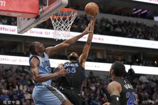 专业人士的 专业人士的