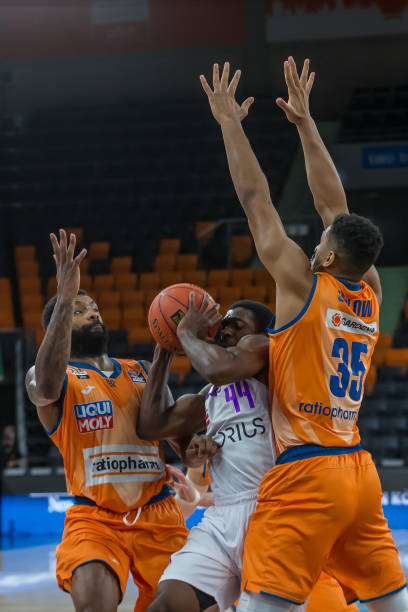 成了一条独 成了一条独